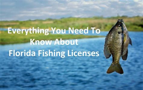 Getting A Florida Fishing License (Everything You Need To Know).